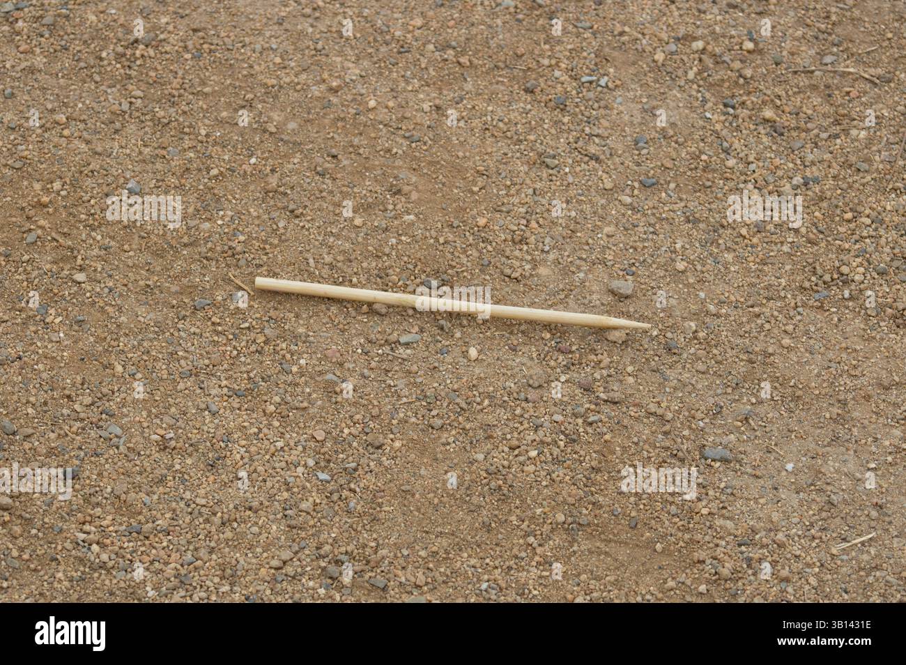 bastoncino di legno appuntito a terra Foto Stock