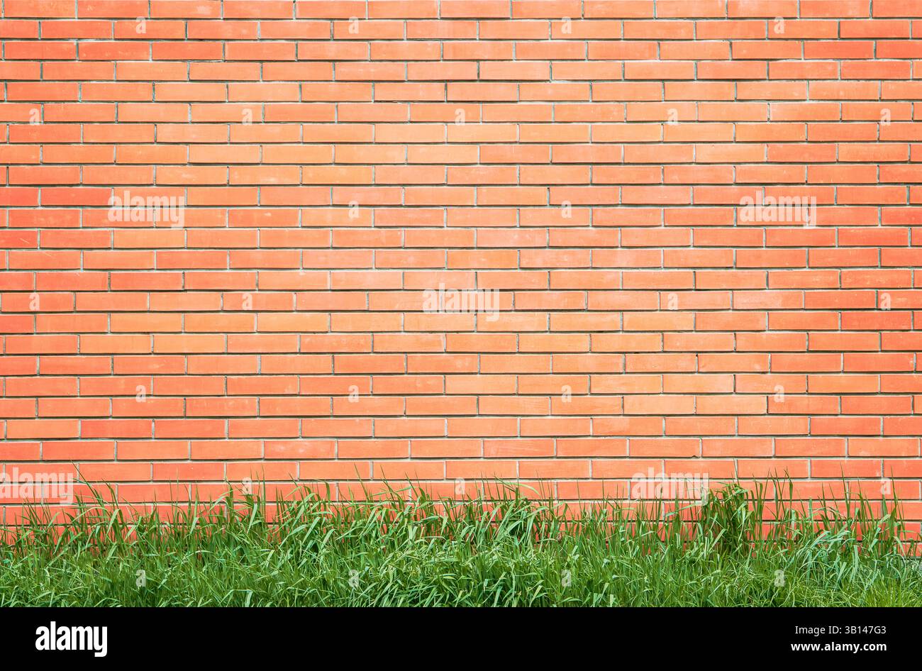 Un muro di mattoni è una struttura robusta fatta di mattoni e Malta. Fornisce privacy, sicurezza e fascino estetico agli edifici. durata e tempi Foto Stock