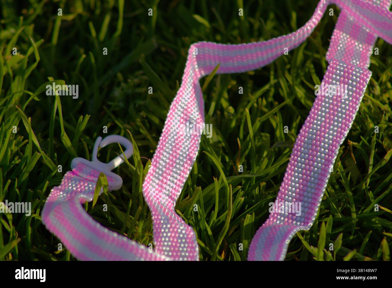 cinturino a righe bianco e rosa Foto Stock