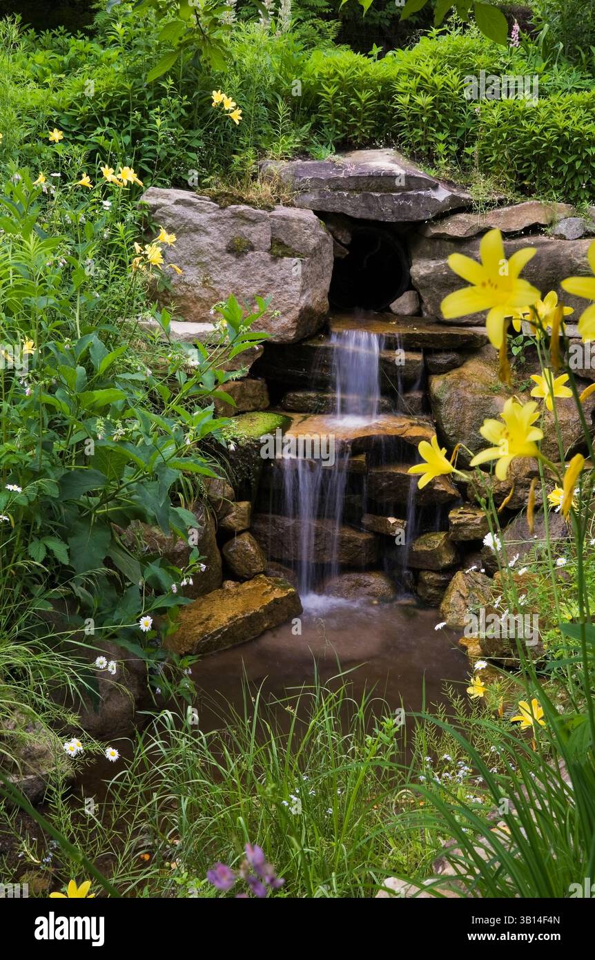 Cascata artificiale in pietra naturale con margherite gialle Hemerocallis - gialli, Leucanthemum x superbum - margherite Shasta nel giardino di campagna in estate. Foto Stock