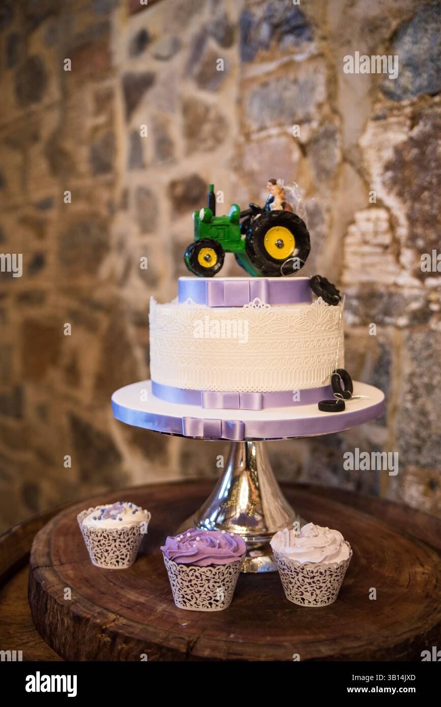 torta nuziale a tema country Foto Stock