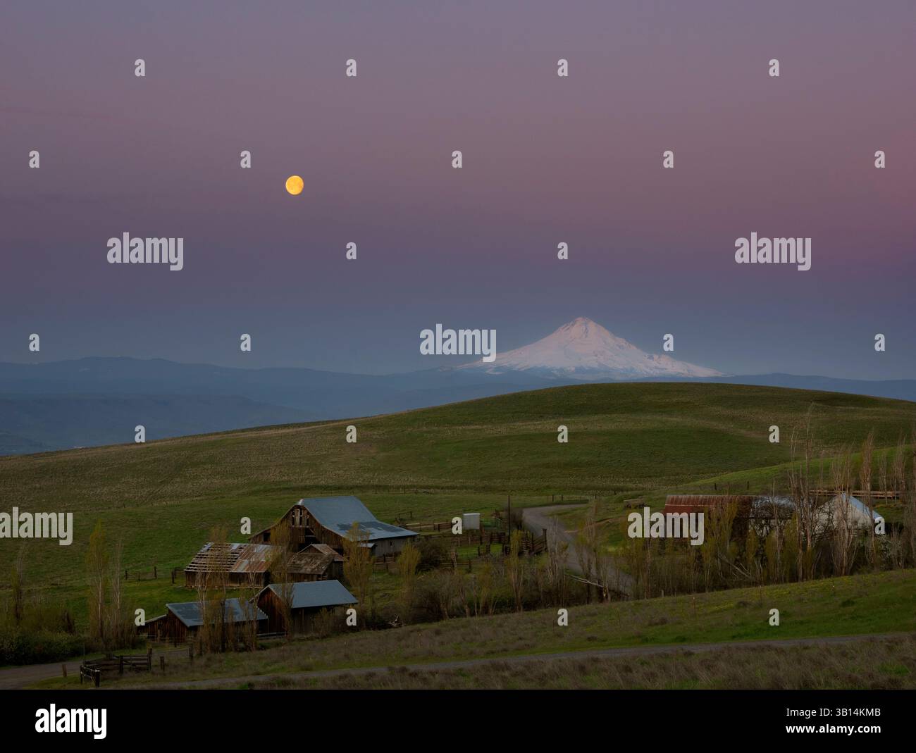 WA26515-00....WASHINGTON - alba con luna e Mount Hood al Columbia Hills Historic State Park. Foto Stock