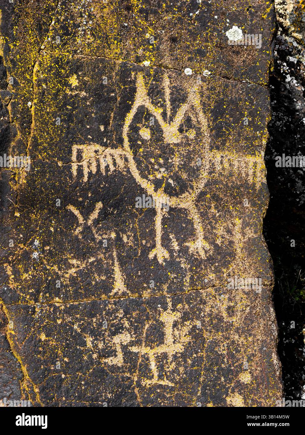 WA26545-00....WASHINGTON - petroglifi lungo il Temani Pesh-wa Trail, Petroglyphs Trail, nel Horsetheif Lake State Park. Spostati dalla loro posizione originale Foto Stock