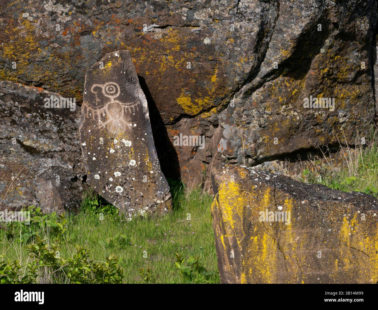 WA26550-00....WASHINGTON - i primi petroglifi lungo il Temani Pesh-wa Trail, Petroglyphs Trail, nel Horsetheif Lake State Park. Si sono allontanati dalla loro Foto Stock