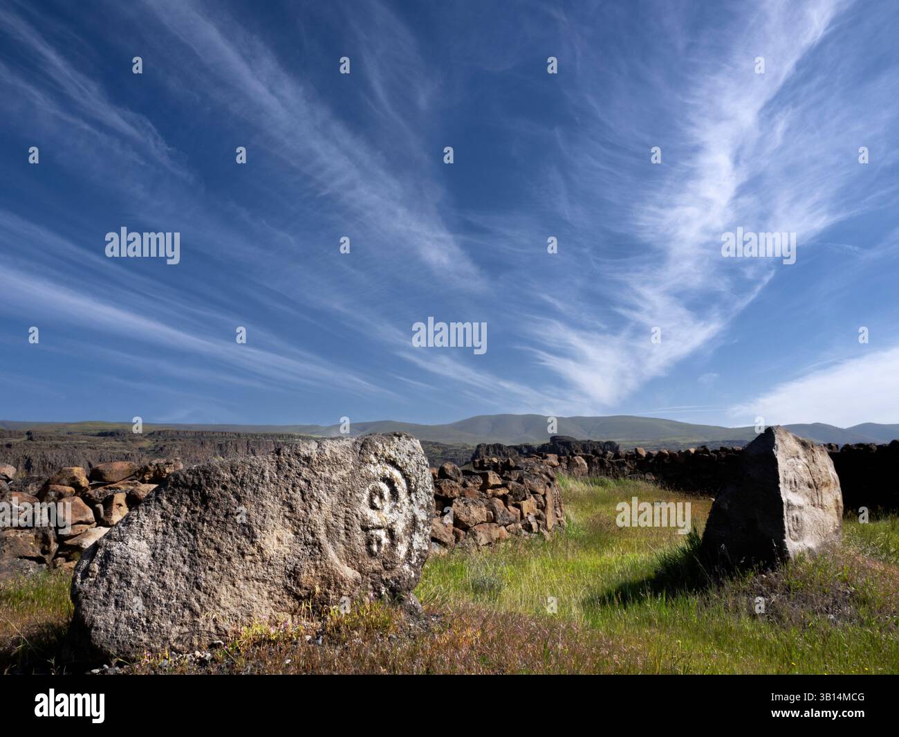 WA26557-00....WASHINGTON - i primi petroglifi lungo il Temani Pesh-wa Trail, Petroglyphs Trail, nel Horsetheif Lake State Park. Si sono allontanati dalla loro Foto Stock