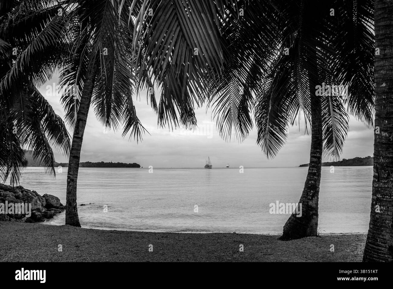 Idilliaca spiaggia fiancheggiata da palme a Vanuatu Foto Stock