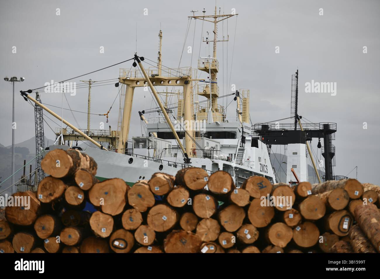 LYTTLETON, NUOVA ZELANDA, 21 NOVEMBRE 2019: Pinus radiata tronchi in attesa di esportare il molo presso il porto di Lyttleton Foto Stock