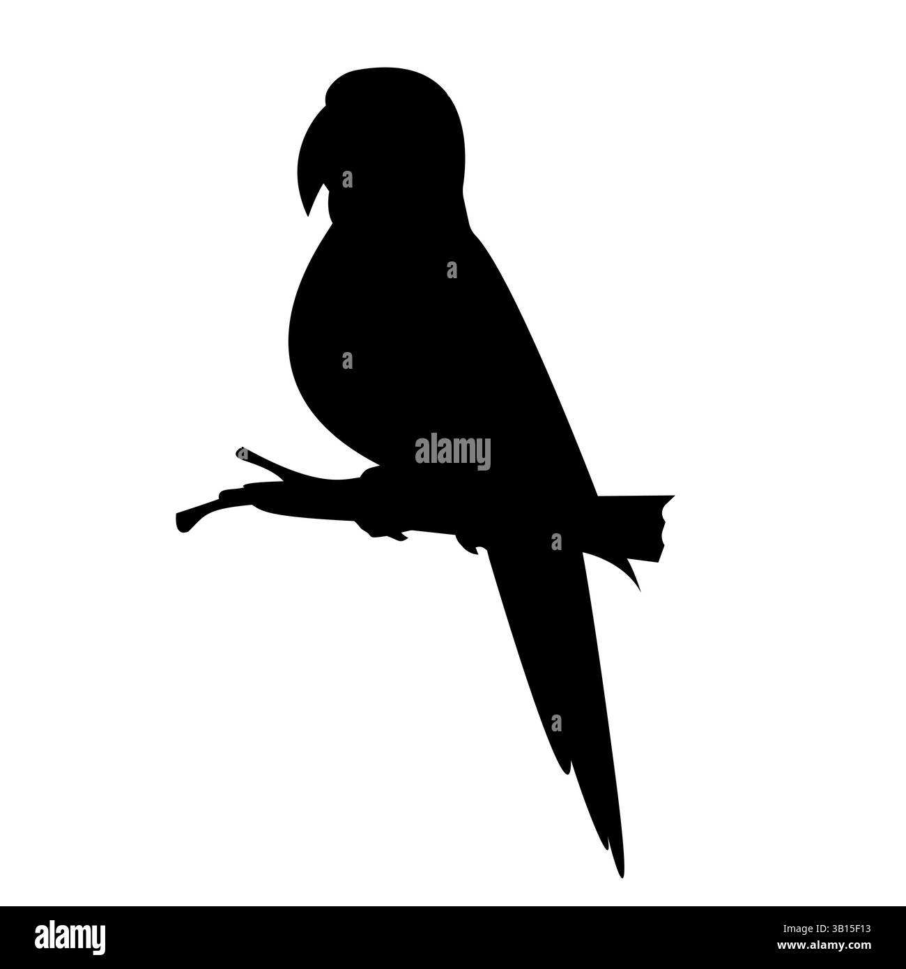 Silhouette pappagallo minimalista Vector Illustrazione Vettoriale