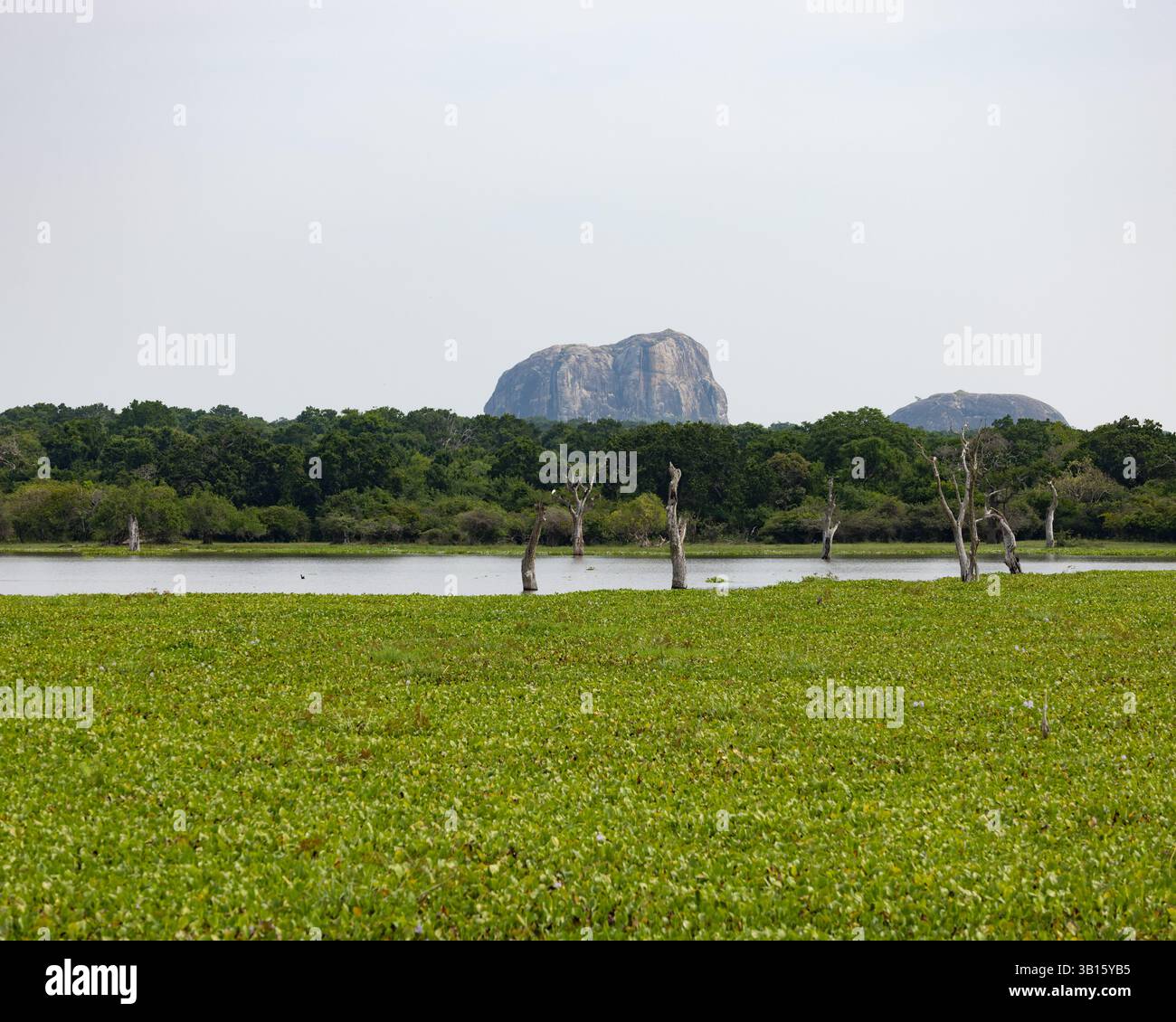 Una delle grandi cime ignee del Parco Nazionale di Yala, Sri Lanka Foto Stock