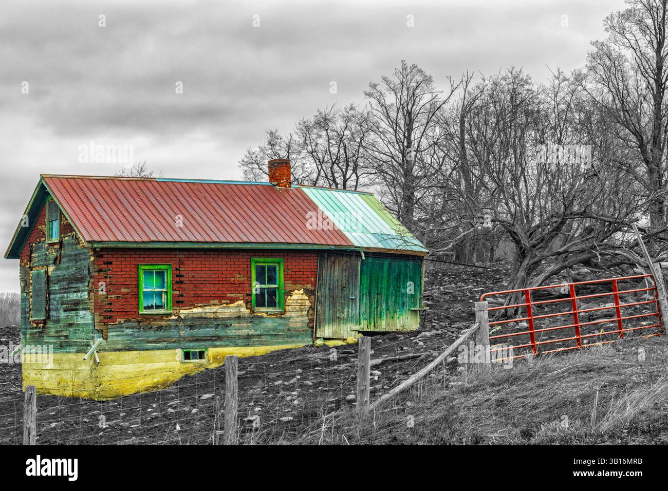 Farm Shed sul pendio a Paddock Foto Stock