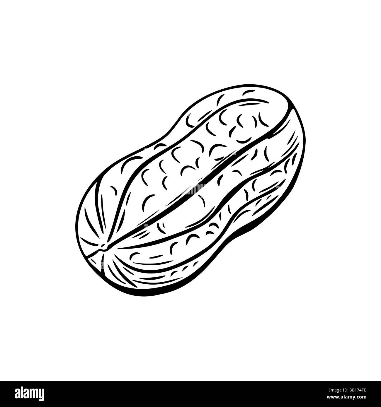 Arachide in schizzo monocromatico con dettagli in line art. Ideale per imballaggi vintage, etichette e pagine di colorazione. Illustrazione Vettoriale