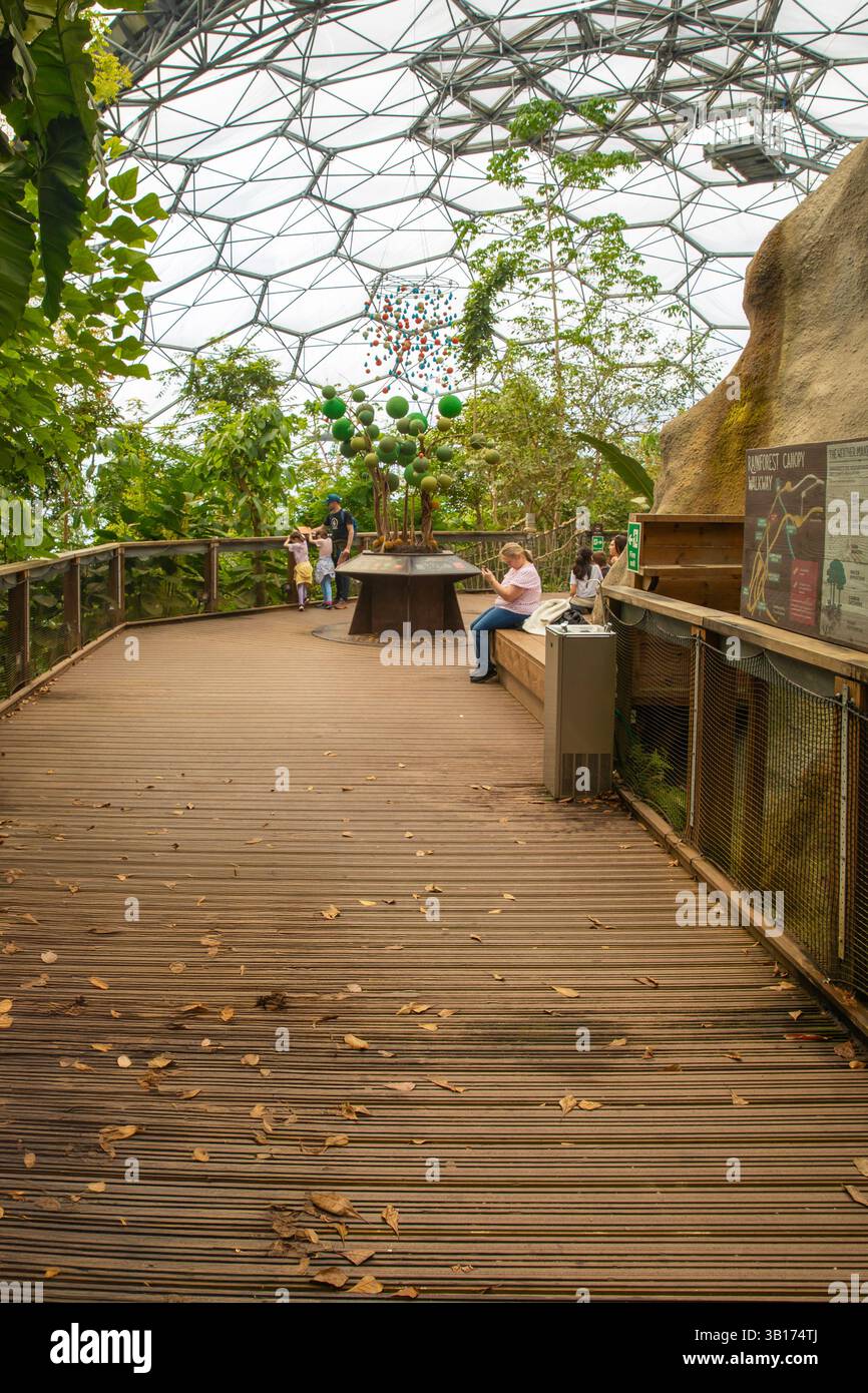 Foresta pluviale Biome Eden Project Cornwall Foto Stock