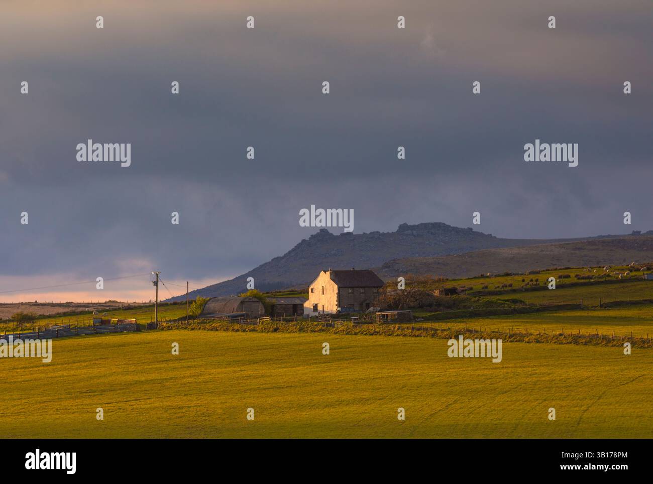 Fattoria a Bodmin Moor Foto Stock