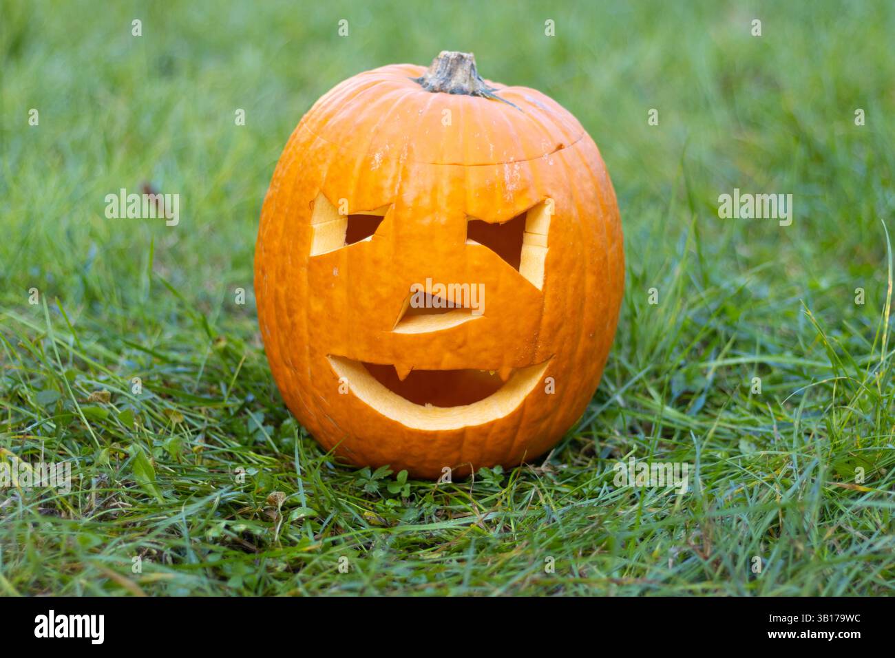zucca di halloween nell'erba. Foto di alta qualità Foto Stock