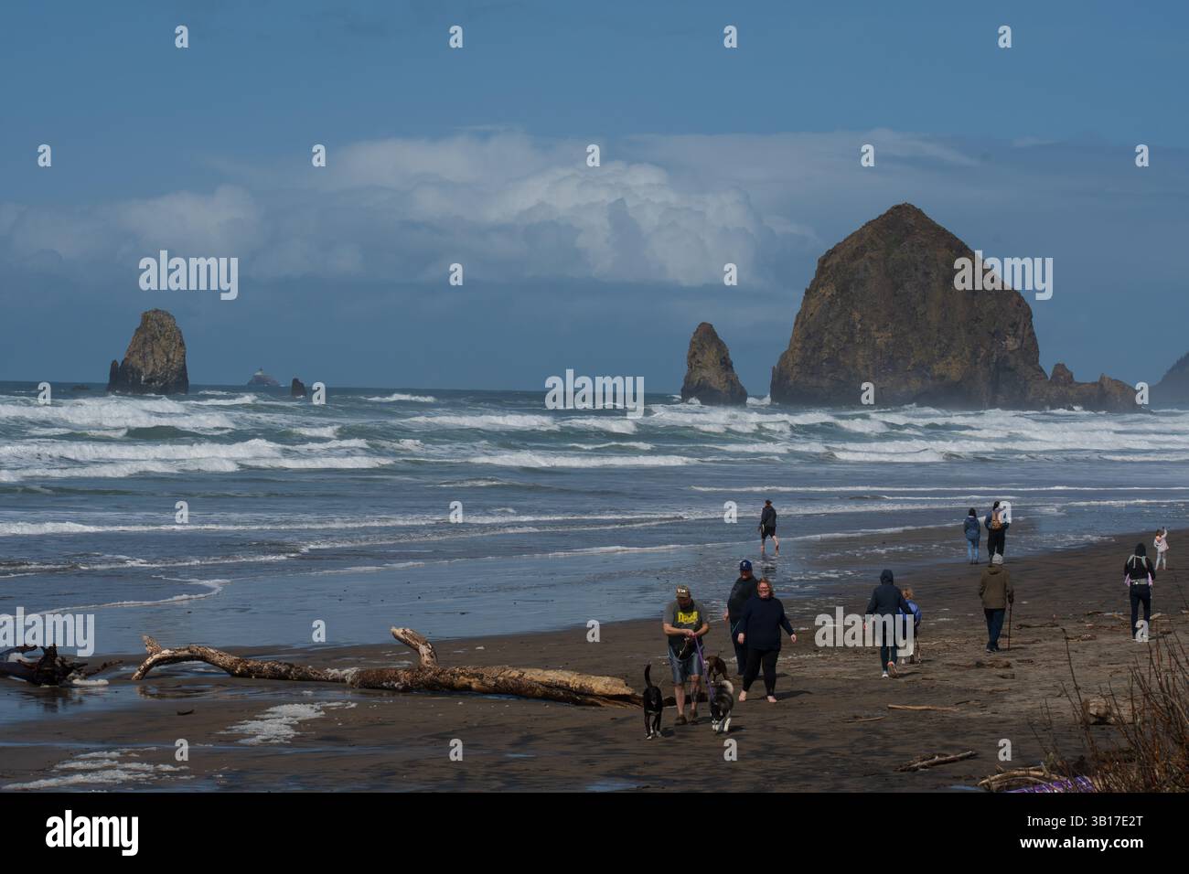 CANNON BEACH, OREGON, USA - 12 aprile 2025: I visitatori camminano lungo le spiagge sabbiose di Cannon Beach sotto un cielo nuvoloso, con l'iconica Haystack Rock in piedi. Foto Stock