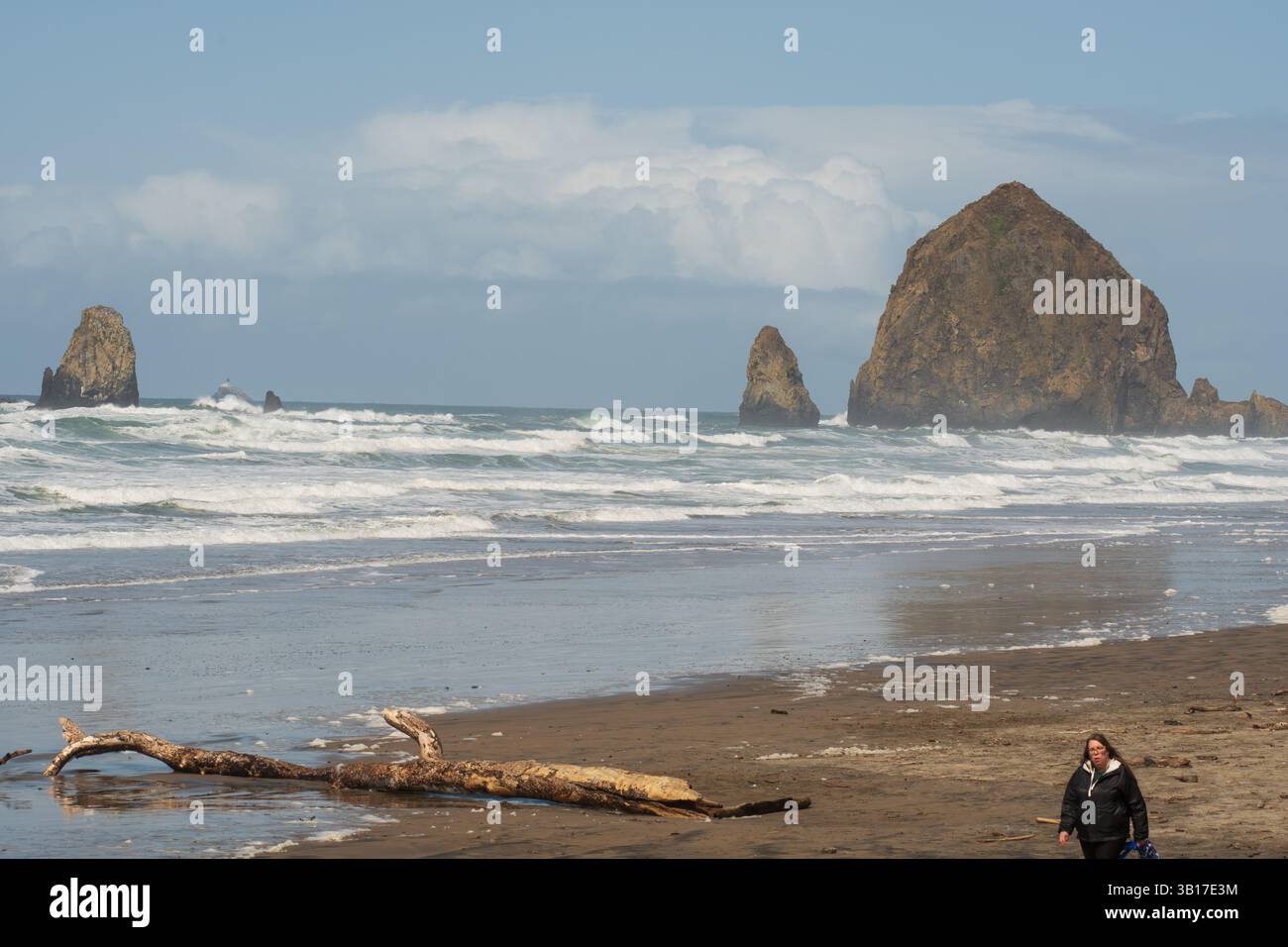 CANNON BEACH, OREGON, USA - 12 aprile 2025: I visitatori camminano lungo le spiagge sabbiose di Cannon Beach sotto un cielo nuvoloso, con l'iconica Haystack Rock in piedi. Foto Stock