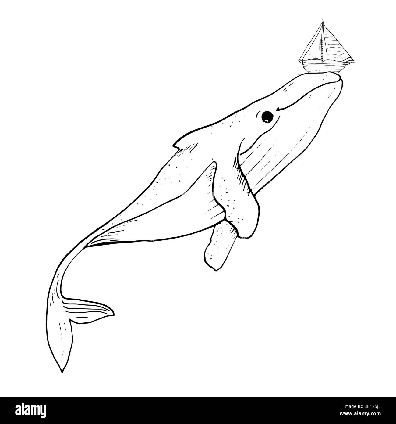 Megattere, schizzo di inchiostro bianco e nero. Illustrazione vettoriale. Un divertente mammifero oceanico con una piccola barca a prua, isolata su uno sfondo bianco. Illustrazione Vettoriale