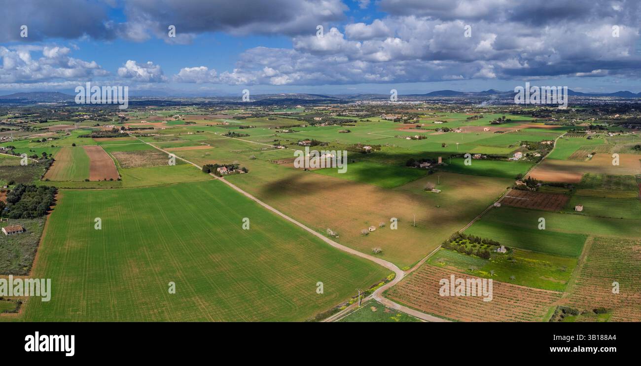 Es Pla de Llodrà Countryside, Manacor, Maiorca, Isole Baleari, Spagna. Foto Stock