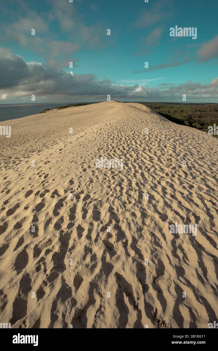 Vista della Duna di Pilat (Dune du Pilat), Nouvelle-Aquitaine, Francia, con ampie dune di sabbia e pineta sotto un cielo azzurro. Foto Stock