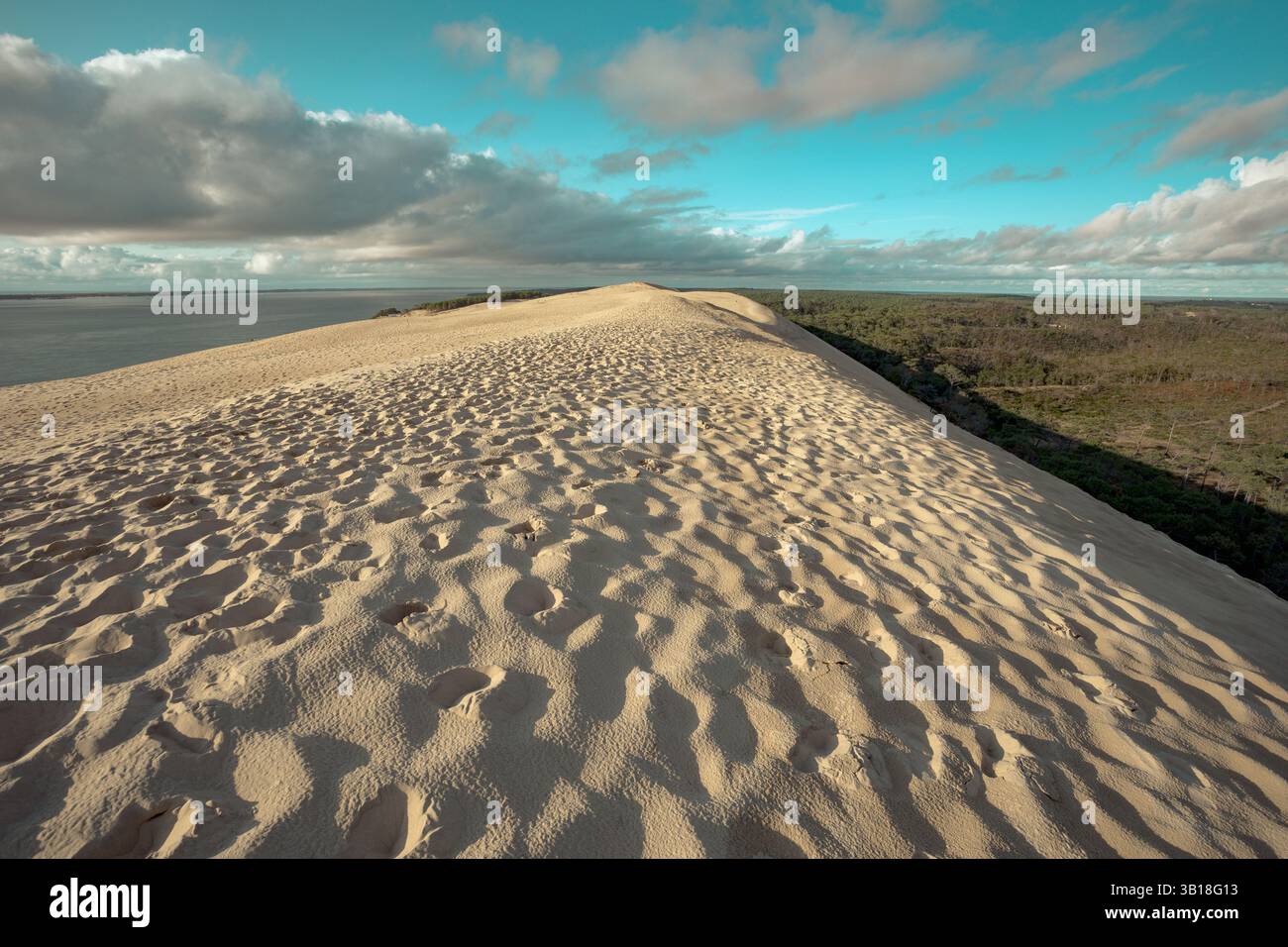 Vista della Duna di Pilat (Dune du Pilat), Nouvelle-Aquitaine, Francia, con ampie dune di sabbia e pineta sotto un cielo azzurro. Foto Stock