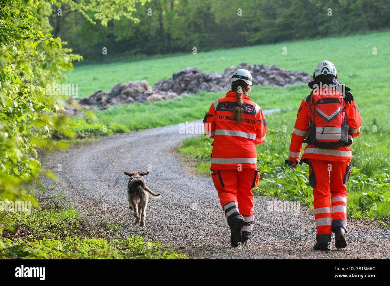 Große Suchaktion mit zahlreichen Rettungshunden aus ganz NRW Großeinsatz am Freitagabend gegen 18 Uhr in einem Waldgebiet zwischen Wuppertal-Cronenberg und Remscheid-Hasten Ein Zeuge hatte zuvor einen älteren, offensichtlich verwirrten, Herrn gemeldet, welcher auf Ansprache zuvatte reitert reichtert. Weil die Polizei mit Streifenwagen und auch mit einem Polizeihubschrauber den Mann nicht finden konnte alarmierten die Beamten am Freitagabend die Hilfsorganizationen Deutsches Rotes Kreuz und Johanniter Unfallhilfe, welche mit einem Großaufgebot von Rettungshunden aus dem ganzen Land anrückten. Die su Foto Stock