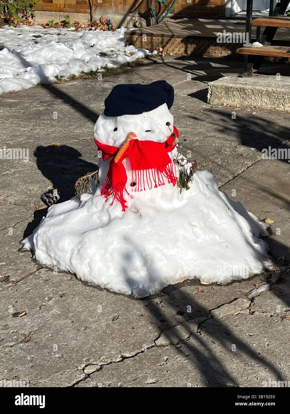 Pupazzo di neve che si scioglie nel bel mezzo dell'inverno, Montreal, Canada. Gli effetti del cambiamento climatico e del riscaldamento globale Foto Stock