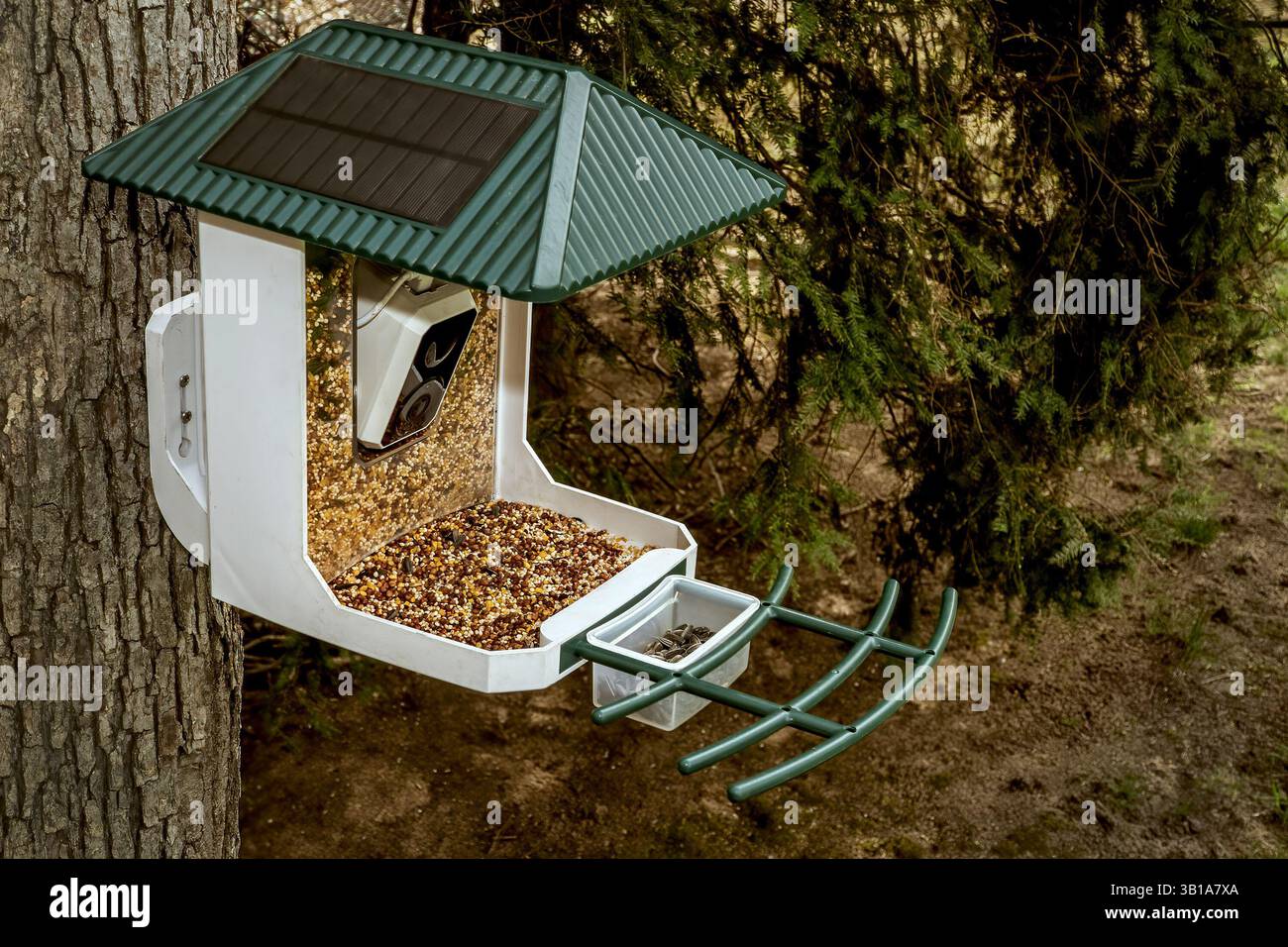 Alimentatore per uccelli collegato a un albero. I pannelli solari sul tetto alimentano una telecamera per la visualizzazione e la registrazione in tempo reale tramite Wi-Fi. Foto Stock