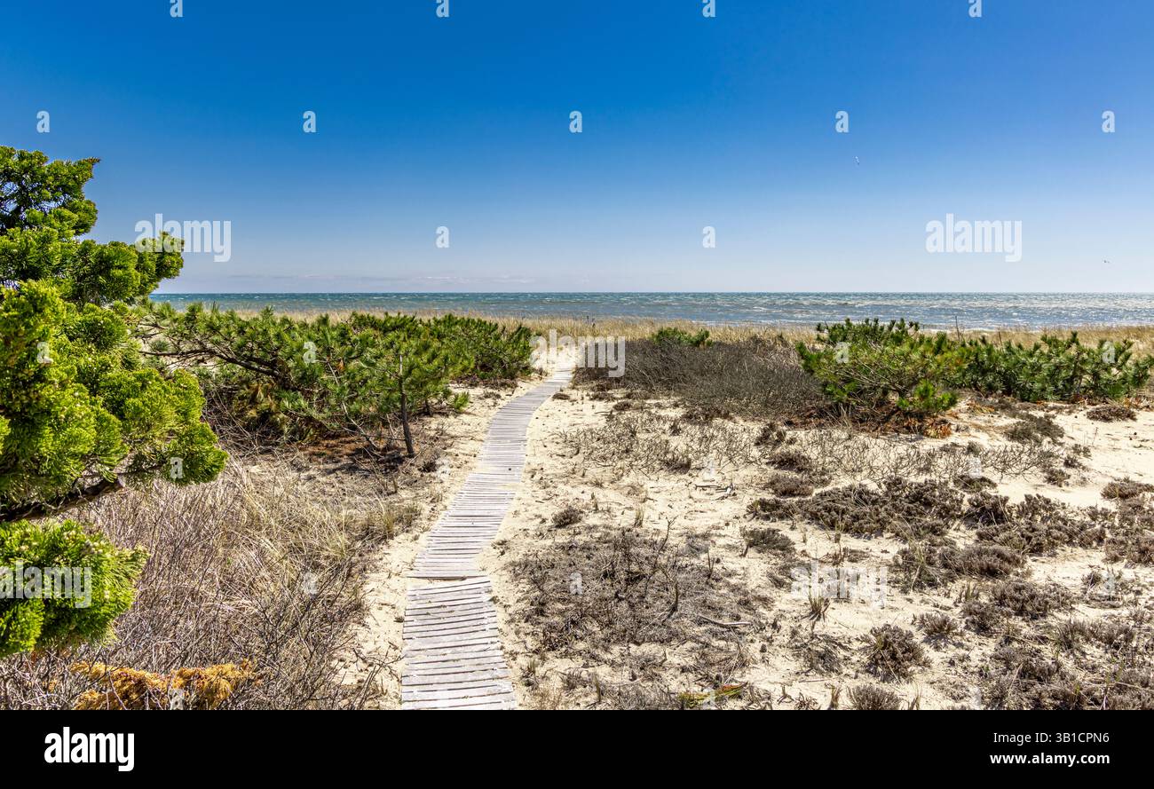 passeggia attraverso le dune verso una spiaggia sull'oceano di amagansett Foto Stock