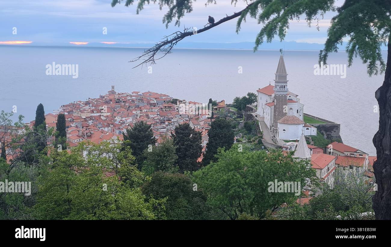 Paesaggio di Pirano e Chiesa di San Giorgio dalle mura, in Croazia. - Immagine stock catturata con smartphone