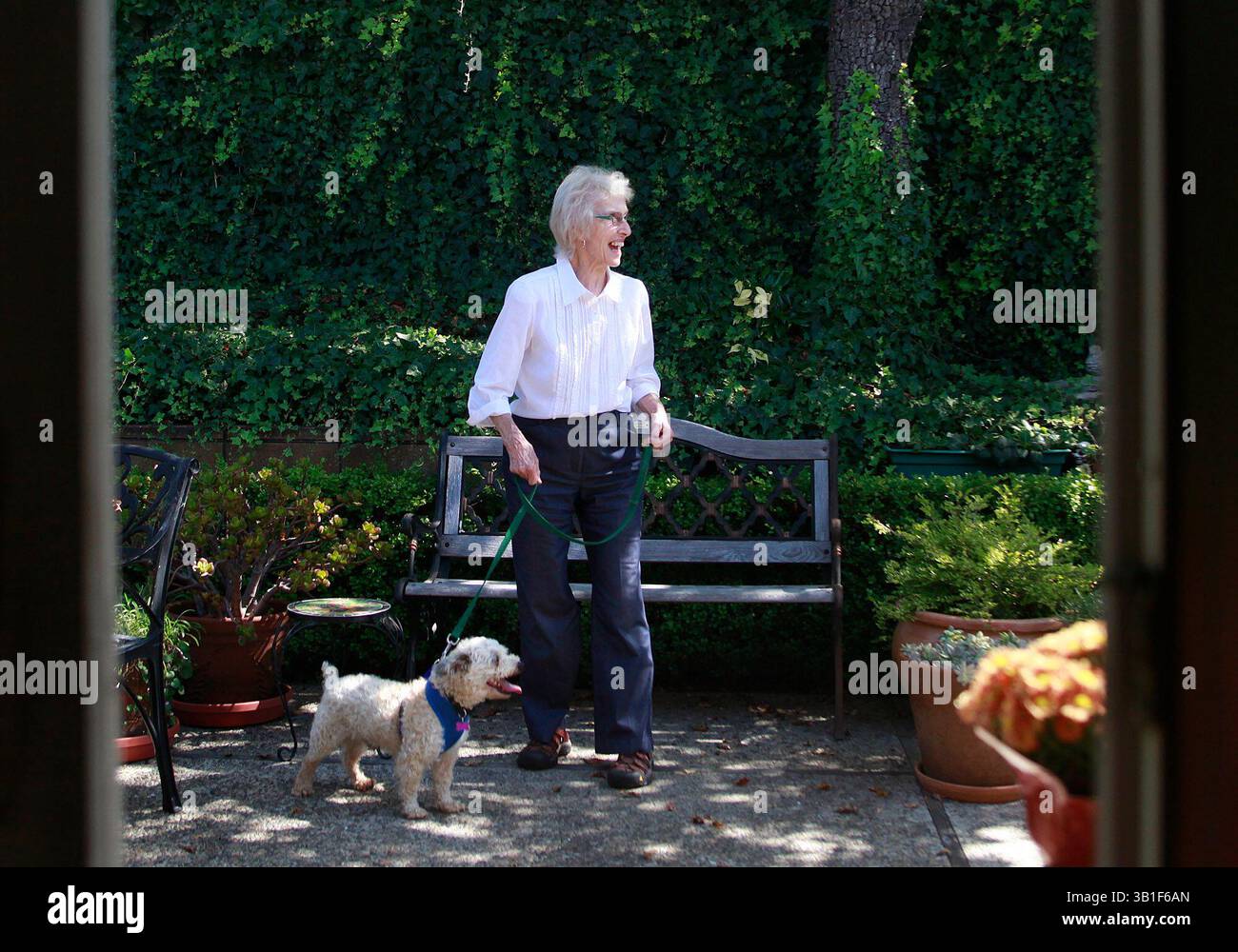 25 settembre 2010 - Carmel, CA, Stati Uniti - Rosemary Smith, 78, regala a Martin una Schnauzer Poodle Mix di 5 anni un tour pre-adozione del suo cortile come membri del Animal Friends Rescue Project ha portato gatti e cani all'Hacienda Carmel a Carmel, California, sabato 25 settembre 2010. Martin è stato salvato dal Salinas Animal Shelter. (Immagine di credito: © Monterey Herald/ZUMApress.com) Foto Stock