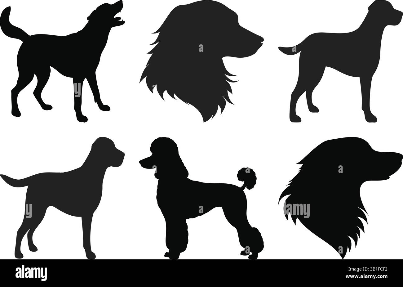 Set vettoriale con silhouette per cani di razze popolari | silhouette per cani | Vector per animali domestici | Clipart per cani | profilo della razza Illustrazione Vettoriale