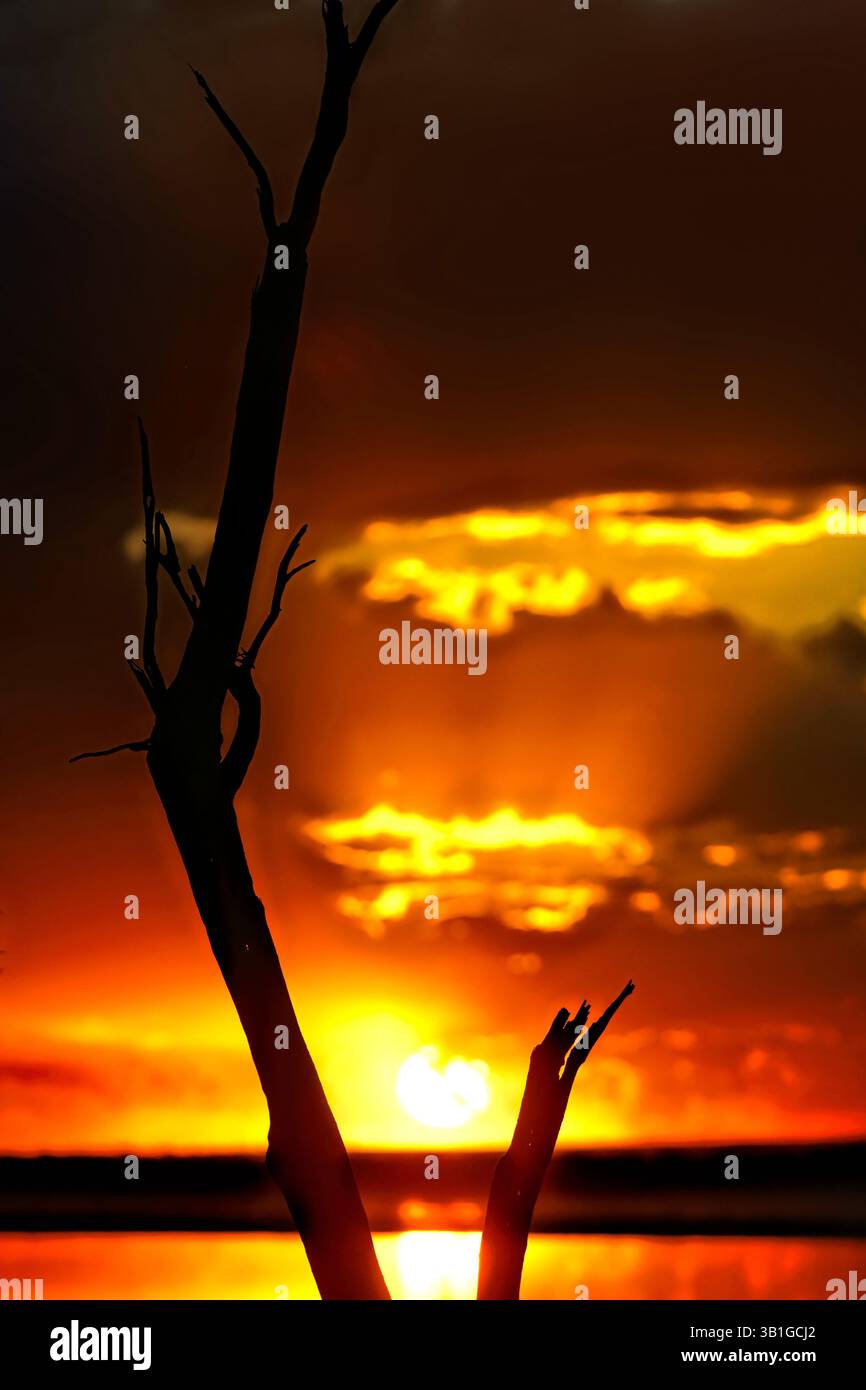 Tramonto sul lago Ninan, Australia Occidentale Foto Stock