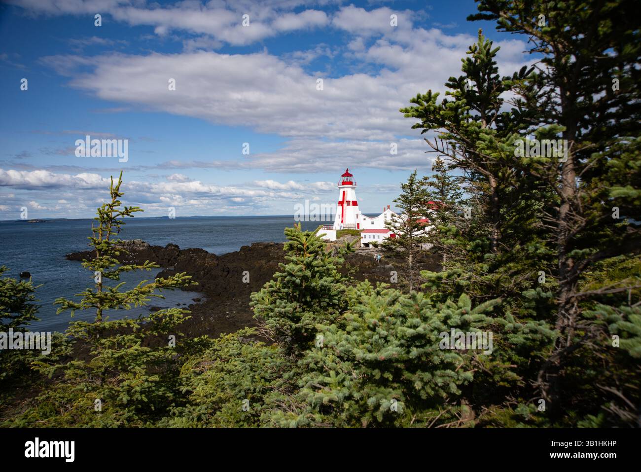 East Quoddy Head Light è un faro e una stazione sull'isola di Campobello, New Brunswick, Canada, visto da lontano. Foto Stock