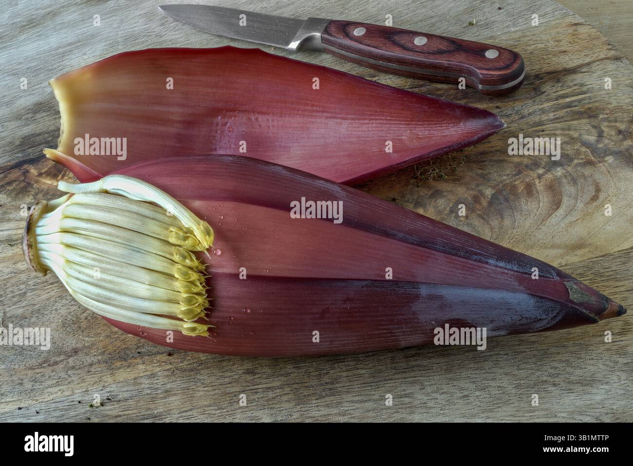 Fiori di banana, verdure tropicali Foto Stock