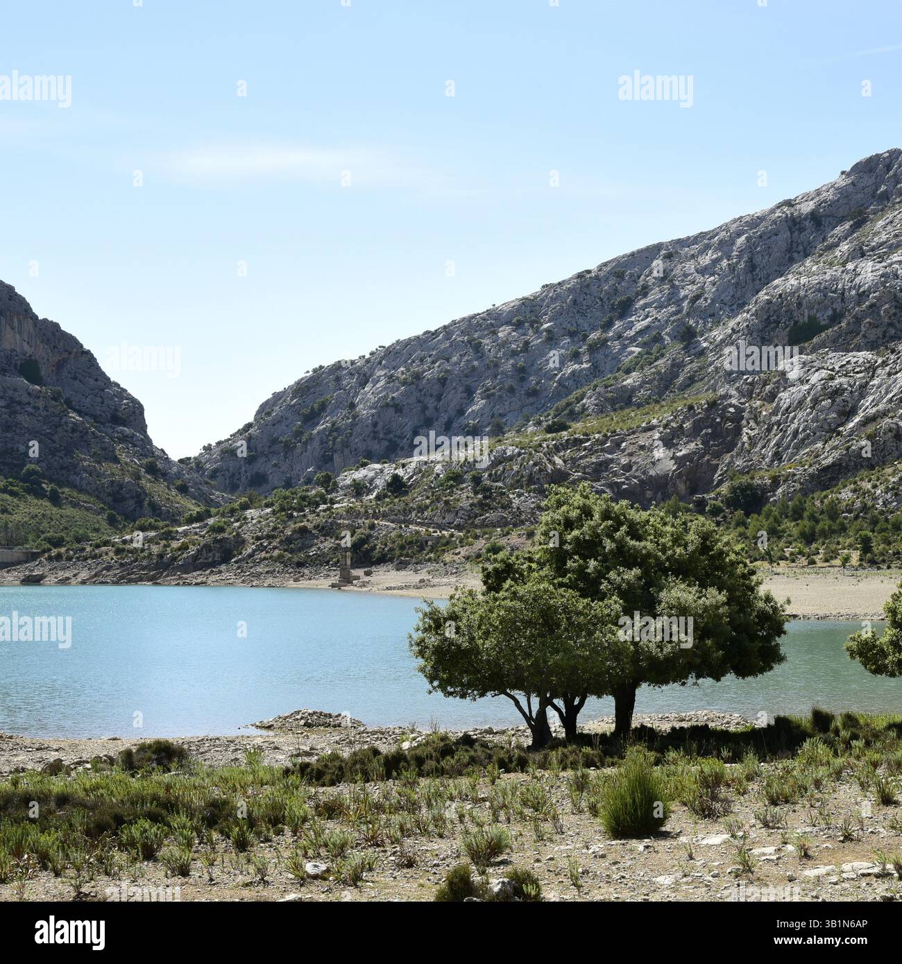 Paesaggio attorno al bacino idrico di Embalse de Cuber, ai Monti Tramuntana, a Maiorca, a Maiorca, alle Isole Baleari, isole Baleari, Spagna, Europa Foto Stock
