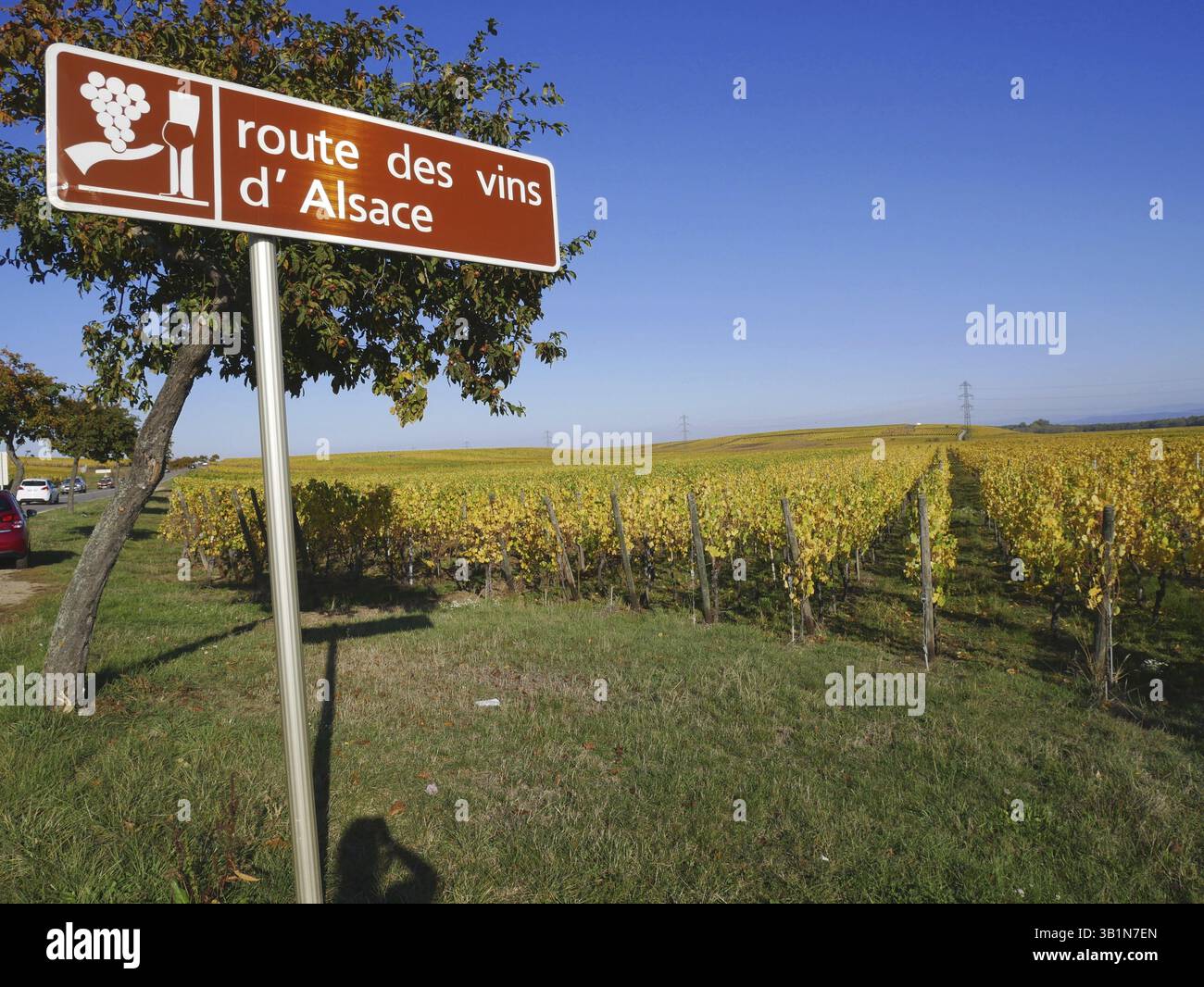 La famosa strada del vino Foto Stock
