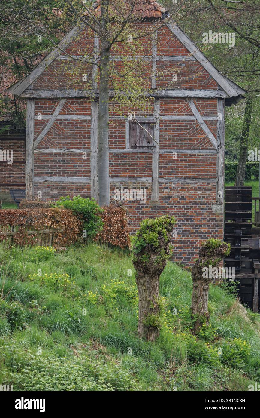 Una vecchia casa in legno su un pendio erboso in un ambiente rurale, vreden, muensterland, germania Foto Stock