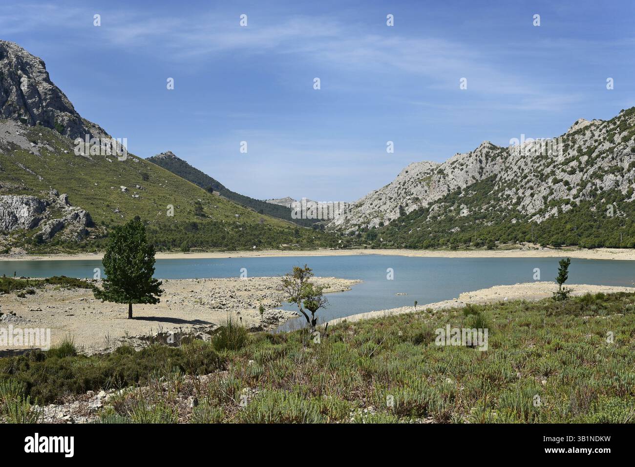 Paesaggio attorno al bacino idrico di Embalse de Cuber, ai Monti Tramuntana, a Maiorca, a Maiorca, alle Isole Baleari, isole Baleari, Spagna, Europa Foto Stock