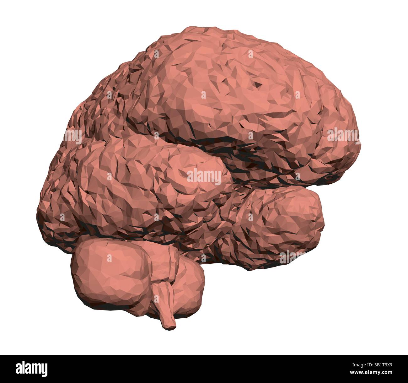 Un cervello viene mostrato in un modello 3D, con una trama ruvida e un colore rossastro. Il cervello è mostrato su uno sfondo bianco, che ne enfatizza il colore e il tex Illustrazione Vettoriale
