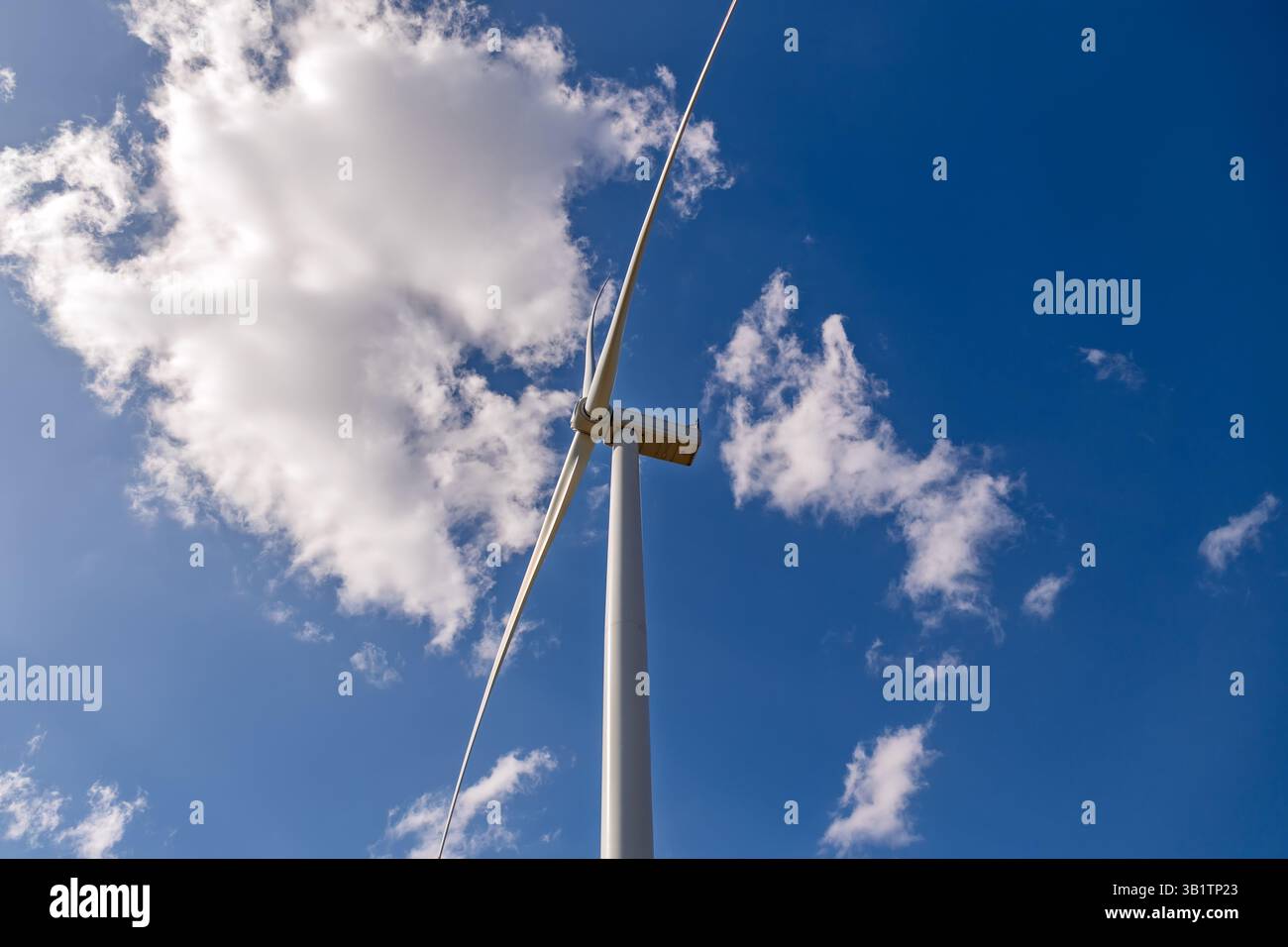 Vista ad angolazione bassa di una turbina eolica contro un cielo blu vibrante e nuvole bianche. Concetto di energia rinnovabile: Turbina eolica alta che si protende in un cielo nuvoloso. Vento Foto Stock