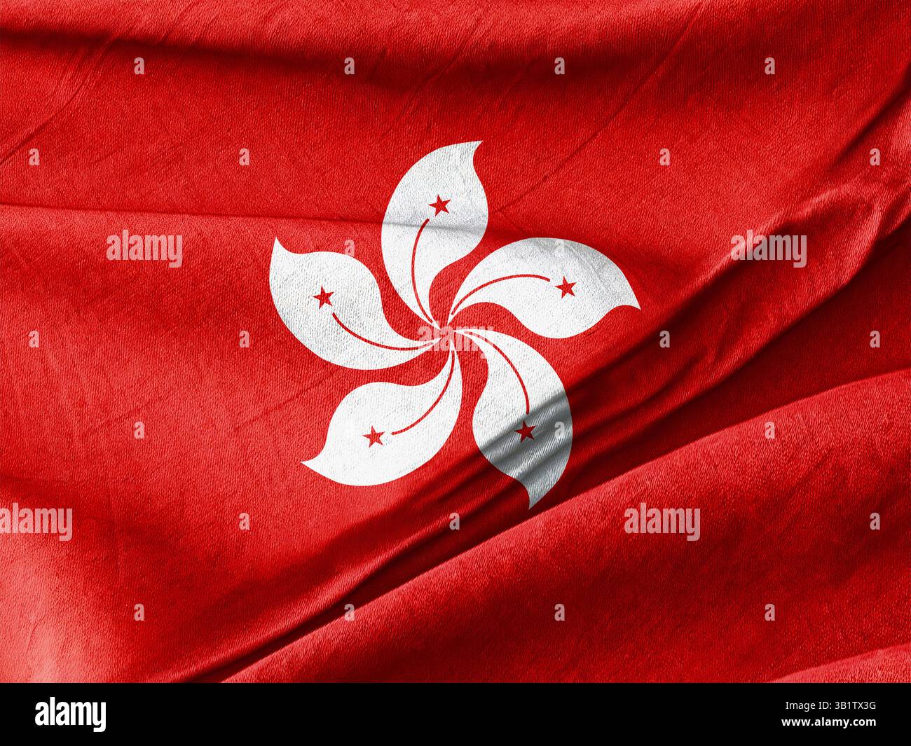 Raffigurazione di alta qualità della bandiera di Hong Kong con un simbolo di fiore bauhinia bianco su un vivace sfondo rosso in tessuto, che simboleggia la prosperità e l'uni Foto Stock