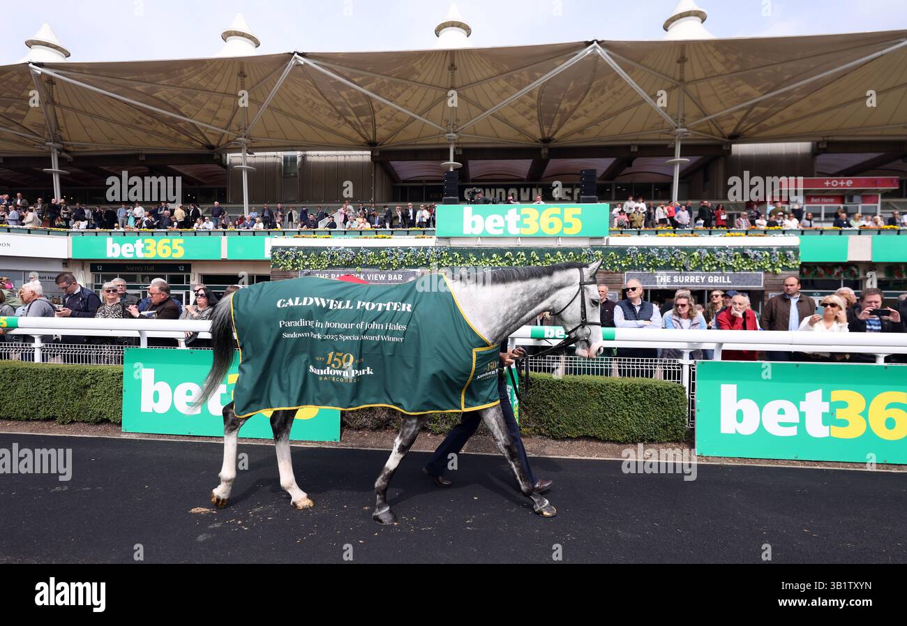 Caldwell Potter, il cavallo di John Hales, è sfilato all'ippodromo di Sandown Park, Esher. Data foto: Sabato 26 aprile 2025. Foto Stock