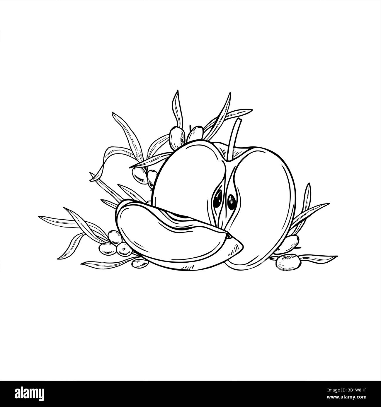 Immagine con incisione a mano con fette di mele bianche e nere vettoriali e ramo spinoso marino. Succosa arte linea di frutti e bacche. Ingredienti sani Illustrazione Vettoriale