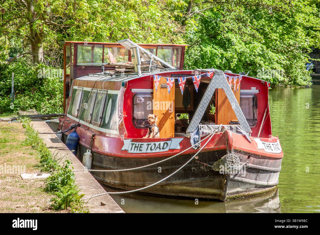 "Toad" barca stretta sul Tamigi, Windsor, Berkshire, Inghilterra, Regno Unito Foto Stock