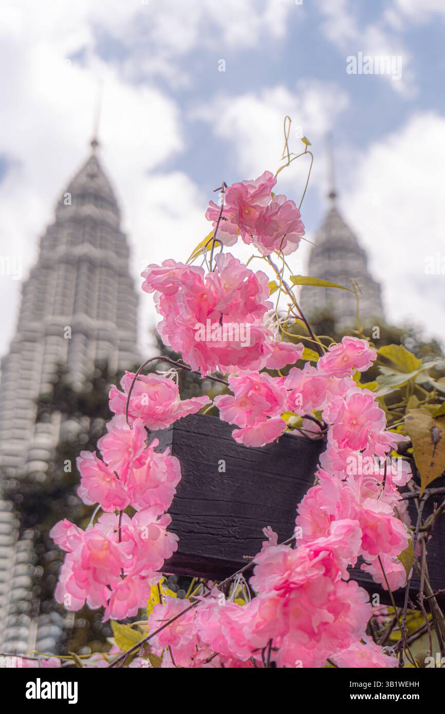 Kuala Lumpur, Malesia: Torre incorniciata da fiori rosa sotto un cielo limpido Foto Stock