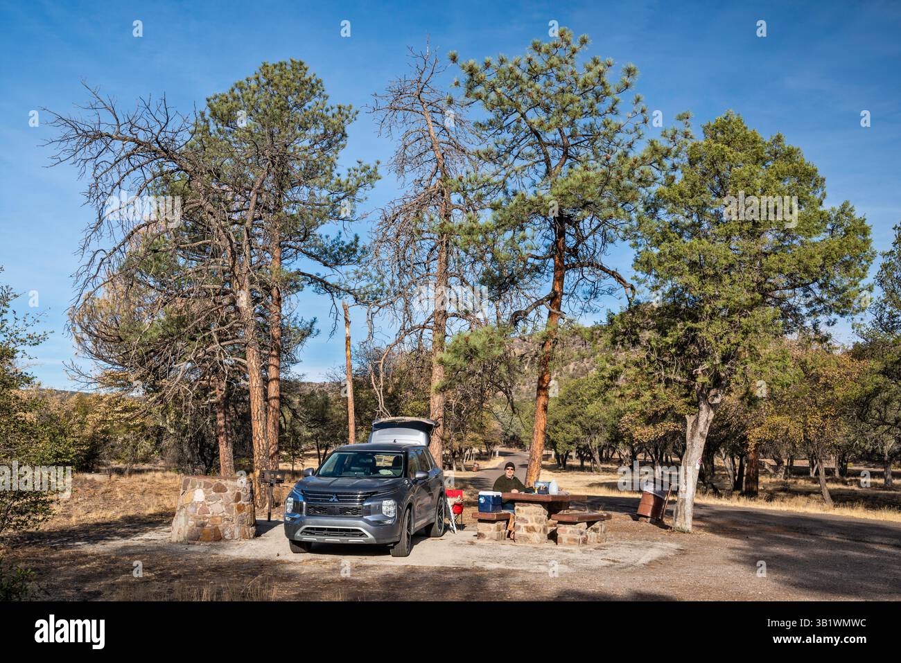 Camper presso Lawrence Wood picnic area (possibilità di campeggio in dispersione), Madera Canyon, Davis Mountains, vicino a Fort Davis, Texas, STATI UNITI Foto Stock