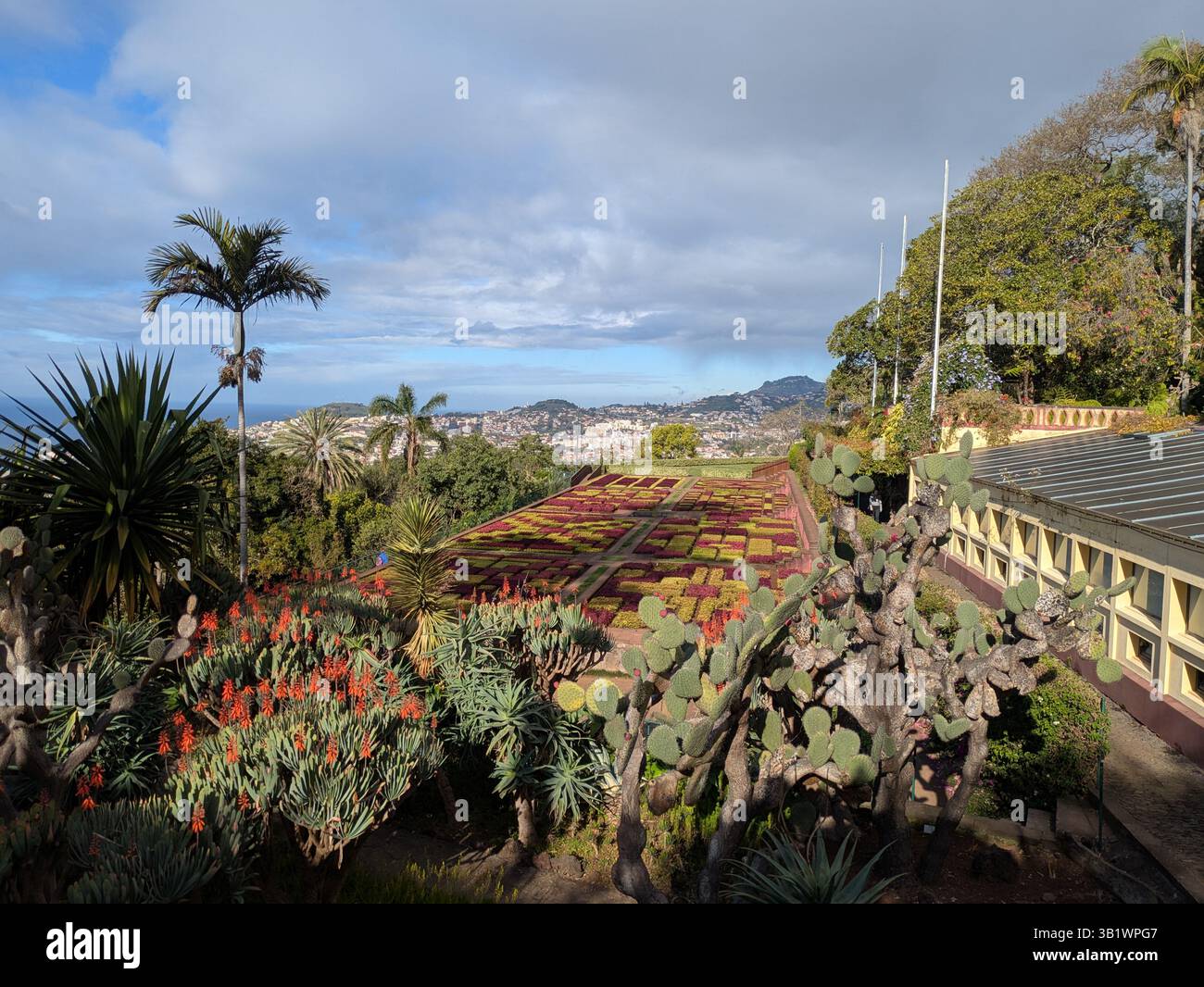 Giardino botanico Funchal Madeira Foto Stock