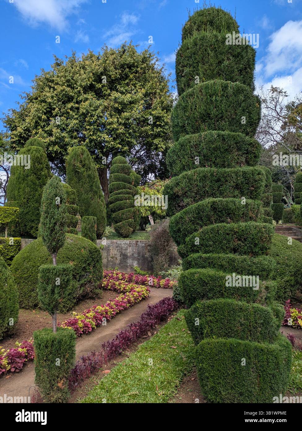 Cespugli scolpiti al Giardino Botanico Funchal Madeira Foto Stock