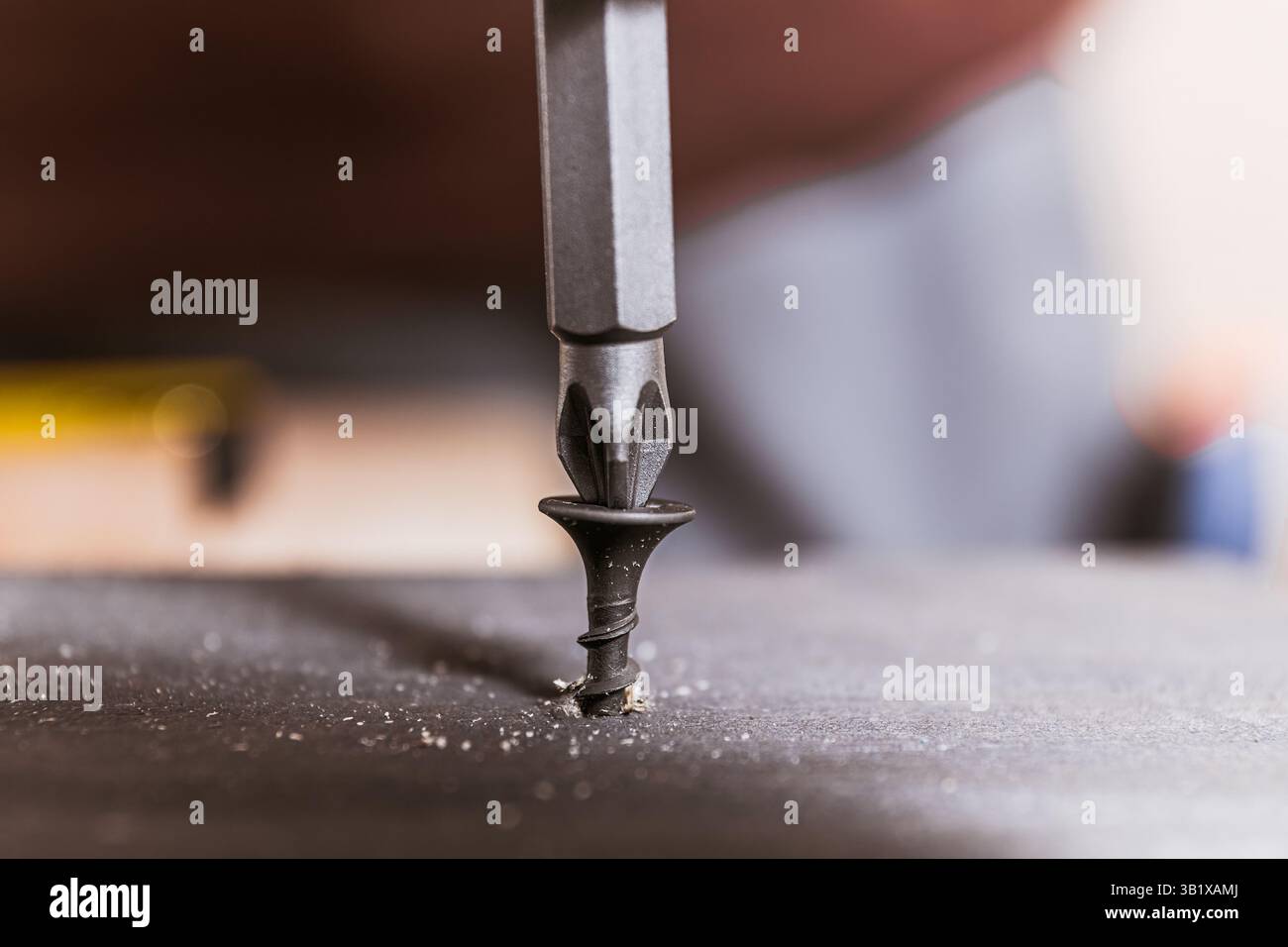 Primo piano di una vite nera fissata al legno con una punta per trapano durante un'attività di costruzione Foto Stock