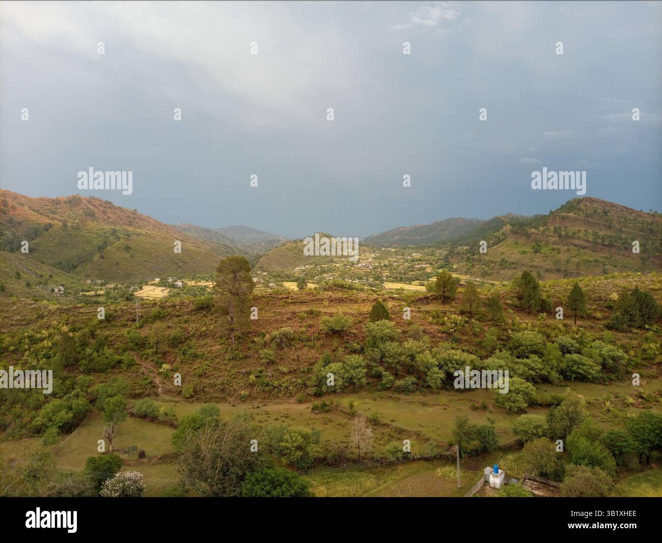 Bellezza della natura Foto Stock
